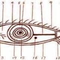 什麼眼睛什麼命！從眼睛看運勢！