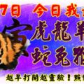 2月27日，今日我最旺！虎龍羊馬蛇兔猴豬！【55588】越早打開越靈驗！點個贊吧！