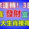 時來運轉！3日後沖喜，發財，三大生肖接得住，富十年