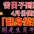 苦日子到頭了，這三大生肖4月份開始「翻身變富」，特別是生肖牛