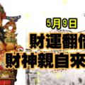 5月9日,財運翻倍,財神親自來送錢的生肖!