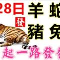 6月28日生肖運勢_羊、蛇、狗大吉