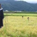 12張證明「日本農田裡的稻草人根本是做來把路人嚇死」的照片