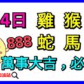 8月4日生肖運勢_雞、猴、鼠大吉