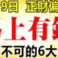 9月9日開始，正財偏財走高，馬上有錢的6大生肖