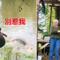 史上最愛記仇！「養的馬被鱷魚吃掉」73歲阿嬤足足記恨3年…一槍把牠解決