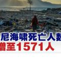 印尼海嘯死亡人數1571人．災後一周逾千人仍失蹤