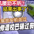 5歲華裔女童從校車前越過　遭女司機碾過身軀不治身亡。