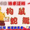 10月26日時來運轉一路發，狗鼠虎蛇龍豬，88秒內打開，好運跟著來『16888』