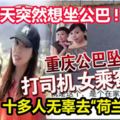 事發當天突然想坐公巴!竟然鬧出事端!致使十多人無辜去「荷蘭「！