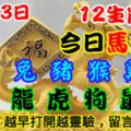 2018年11月23日，星期五農歷十月十六（戊戌年癸亥月己未日）