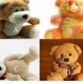 你最愛哪隻玩具熊？測測你愛的人是否也愛你