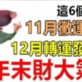 年末財大氣粗！這6個生肖，11月黴運纏身，12月轉運發大財！