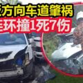 疑駛入反方向車道肇禍4車連環撞1死7傷