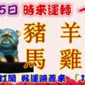 1月25日時來運轉一路發，豬羊兔馬雞猴，88秒內打開，好運跟著來『16888』