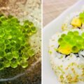 日本熱議神秘「綠寶石款鮭魚卵」　網咬一口驚覺：是熟悉的那個味道啊