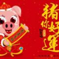 2019新年適合發朋友圈說說的祝福語豬年簡短賀詞 