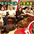 梁家輝一家13口全家福，豪宅意外曝光，8隻動物太搶鏡