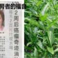 喝了兩個星期的【20幾片葉子】煮的水，她的【腎功能】恢復了(真實成功案例)。。