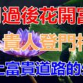 3月過後花開富貴，財運逆襲，貴人登門相助，走上富貴道路的生肖