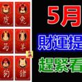 5月份，12生肖財運提前報。趕緊看一看