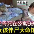 吸毒父母死在公寓9天2歲女孩伴屍大命餓不死