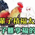 上輩子積福太少的4個生肖，今生奔波勞碌，一輩子難享福