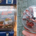 日本推出「空調扭蛋」拯救全球人類　一顆80元「吹了真的有涼」網實測：夏日救星！