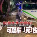 躲警車雙方展開追逐，可疑車失控撞樹1死1傷！