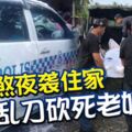 5名惡徒夜闖住家，亂刀殘殺7旬老婦，重傷其孫子！