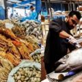 杜拜土豪們逛的菜市場：鯊魚擺地攤，滿地都是帝王蟹大龍蝦！
