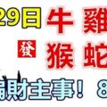 8月29日生肖運勢_牛、雞、龍大吉!!