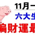 日進斗金！11月偏財運最旺的六個生肖，你上榜了嗎