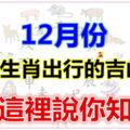 12月份，12生肖出行的吉凶！這裡說你知~