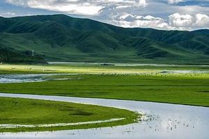 【中國】四川最美的七個的草原，個個都不比若爾蓋差！