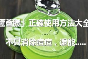 「蘆薈膠」的正確使用方法大全！不只消除痘痘，還能......這些年我竟錯過了這麼多！