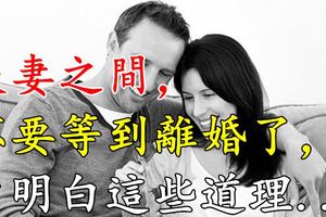 夫妻之間，不要等到離婚了，才明白這些道理...