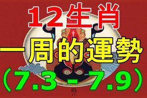 12生肖一周運勢！（7.3-7.9）