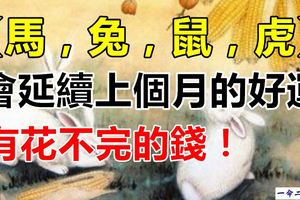 這四大生肖會延續上個月的好運,有花不完的錢！
