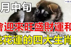 7月中旬會迎來旺盛財運和桃花運的四大生肖！