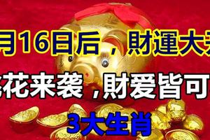 7月16日後，財運大開，桃花來襲，財愛皆可收的3大生肖！