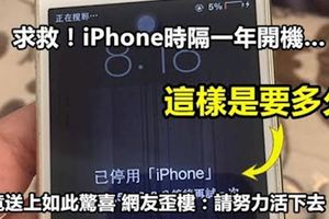 求救！iPhone時隔一年開機…竟送上如此驚喜網友歪樓：請努力活下去！