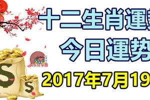 十二生肖運勢天天看，今日運勢：7月19日