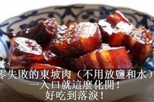 零失敗的東坡肉（不用放鹽和水）一入口就這麼化開！好吃到落淚！