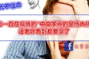 最近一直在瘋傳的"中文字真的是博大精深"，連老外看到都要哭了