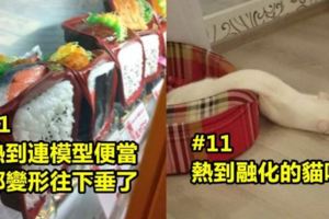 「大熱天時不能看到的15張照片」看了你會覺得溫度又上升了幾度