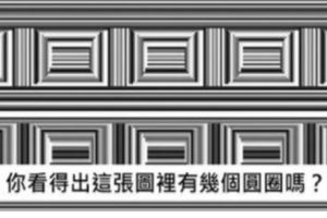 這張圖片上共有「16個圓圈」，但是絕大多數人居然通通找不到！