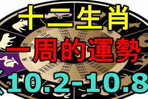 「鄭博士」十二生肖一周的運勢！（10.2-10.8）