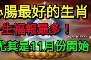 這五個生肖心腸最好，一生福報最多，尤其是11月份開始！