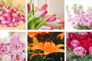 【心理測驗】選一束你最喜歡的鮮花，測出自己的特質和脾氣！